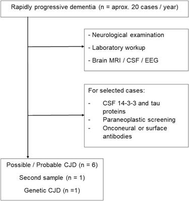 Second-Generation RT-QuIC Assay for the Diagnosis of Creutzfeldt-Jakob Disease Patients in Brazil